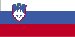 slovenian Puerto Rico - Պետական անվանումը (մասնաճյուղի) (էջ 1)
